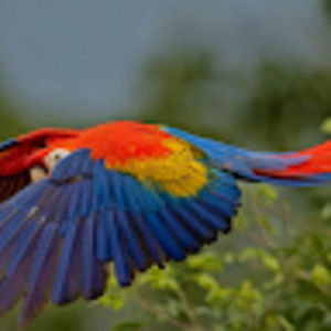 Meet your Posher, Robert